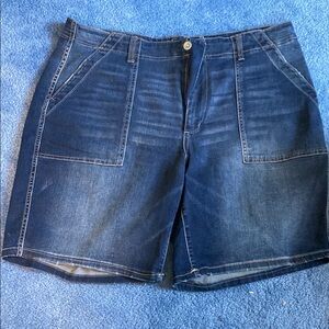 Time and Tru High Rise Blue Denim Shorts